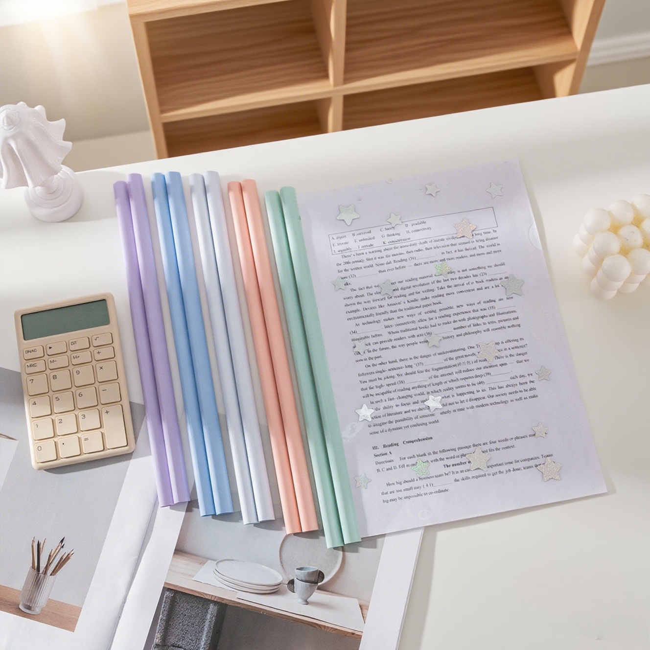 10-Pack Lever Clip A4 Binder T - مراجعة Binder A4 Lever وسعره