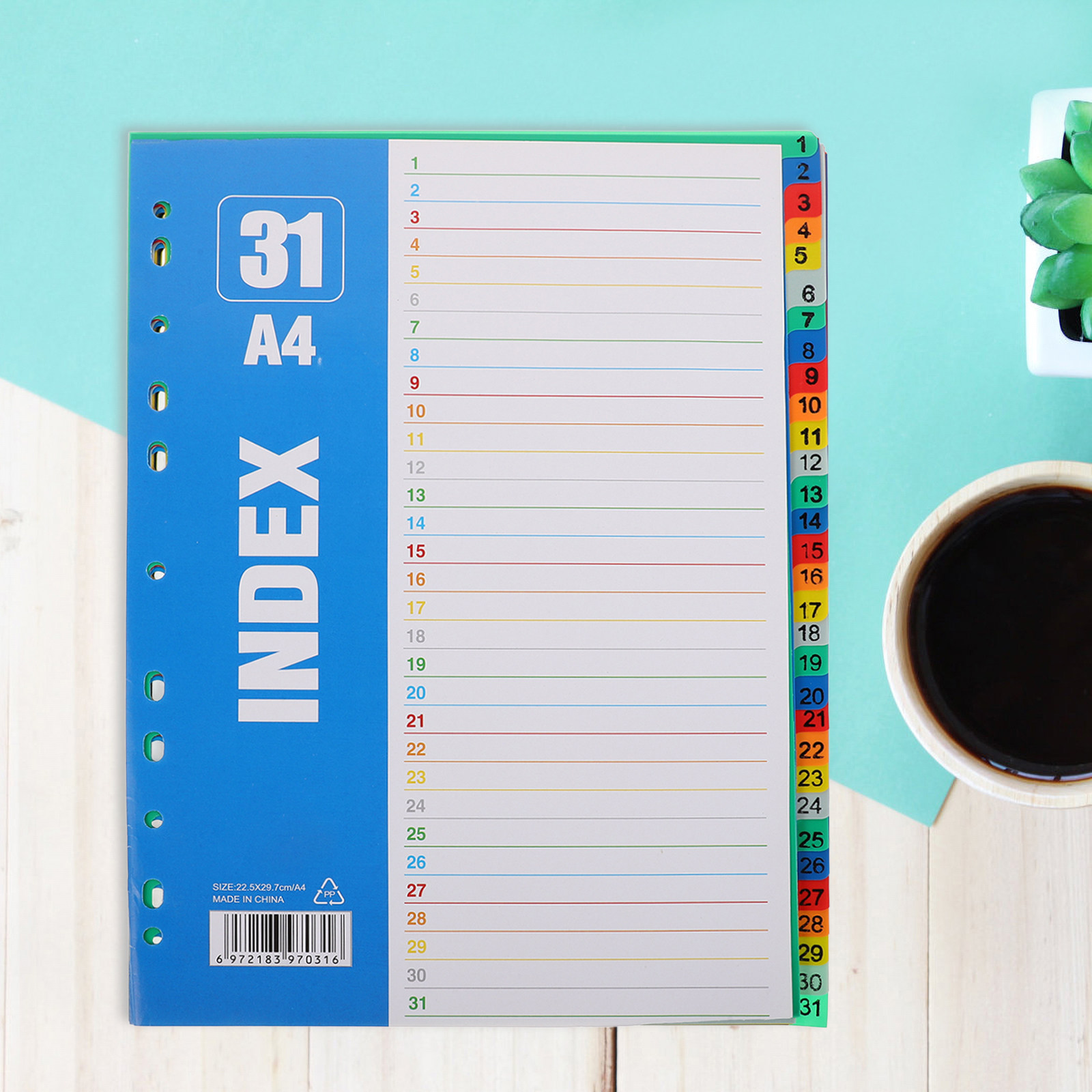 1Set Dividers A4 11-Hole PP St - مراجعة Tab Divider A4 وسعره