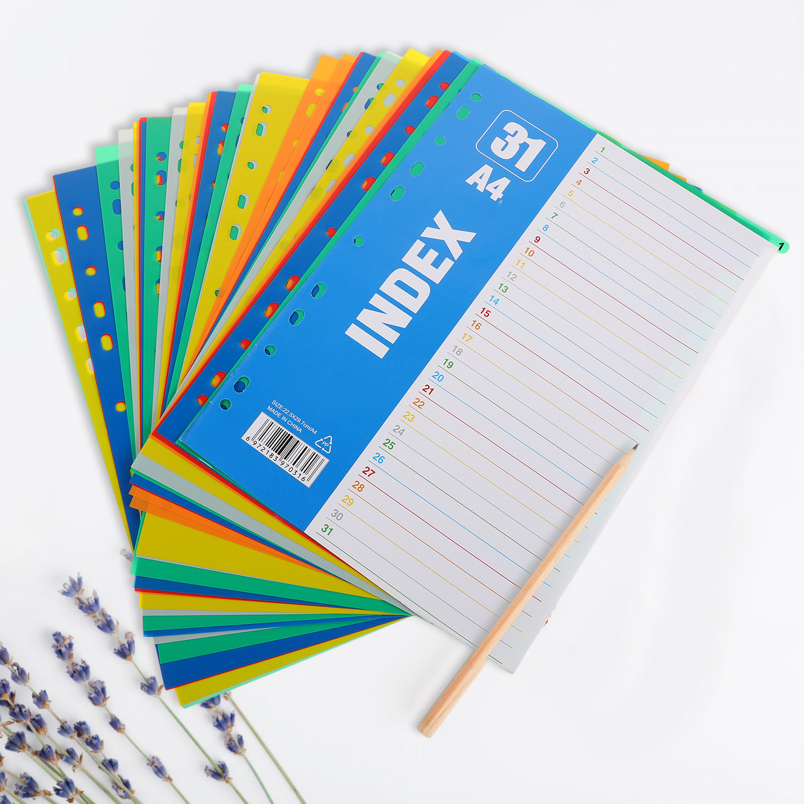 1Set Dividers A4 11-Hole PP St - مراجعة Tab Divider A4 وسعره