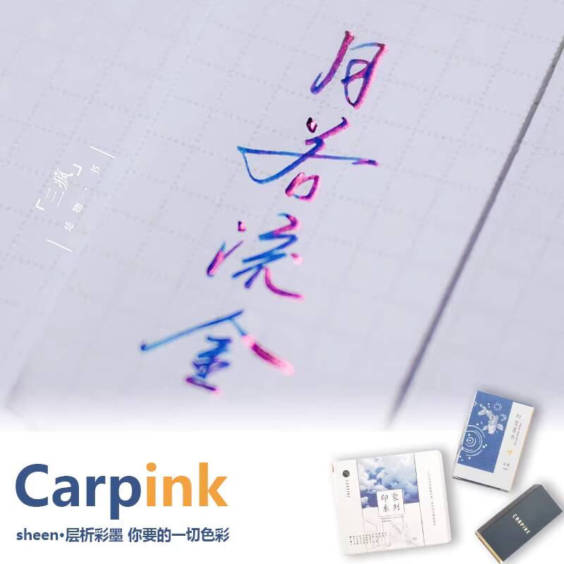 Carpink Non-Carbon Fountain Pe - مراجعة Fountain Pen Bottled Ink وسعره