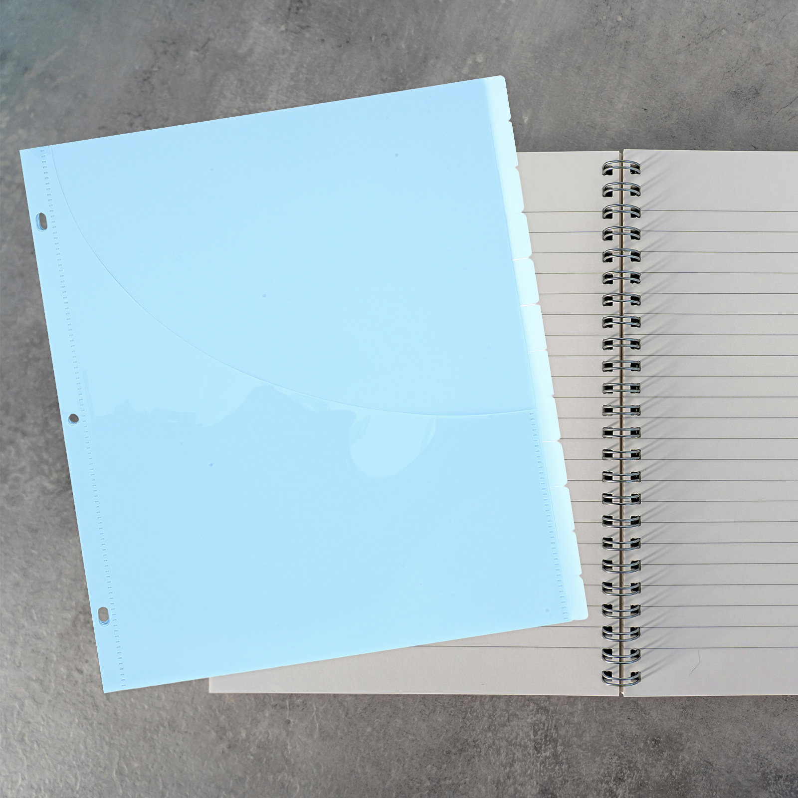 12Pcs Binder Dividers A4 Size  - مراجعة Tab Divider A4 وسعره